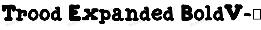 Trood Expanded BoldV字体转换
